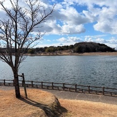 土日 ウォーキング仲間募集‼️