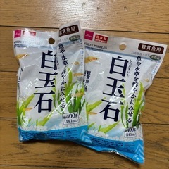 メダカの石