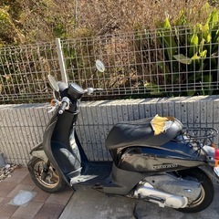 原付バイク　　　　HONDAトゥデイの画像