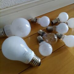 無料  電球各種セット　の画像