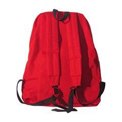 広島東洋カープ 2017限定 ワッペンリュック (レア)の画像