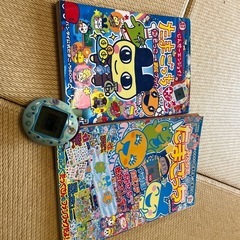 決まりました！