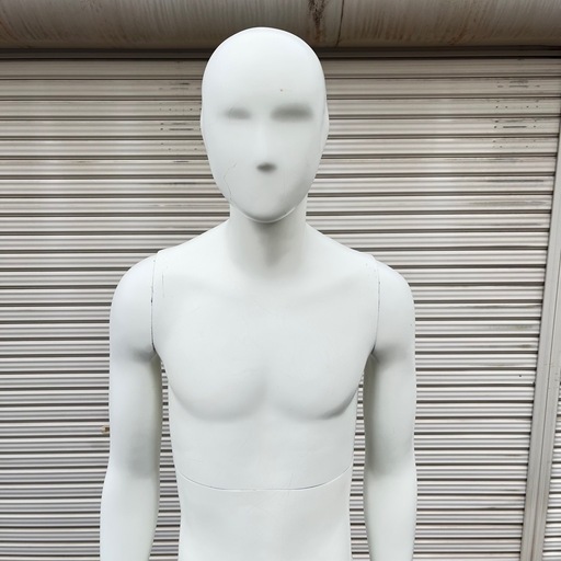 トルソー マネキン 顔付 可動式 男性 トルソー マネキン 顔付 可動式 男性