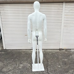 トルソー マネキン 顔付 可動式 男性の画像