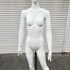 トルソー マネキン 顔付 可動式 女性の画像