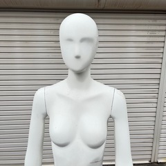 トルソー マネキン 顔付 可動式 女性の画像