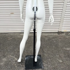 トルソー マネキン 顔付 可動式 女性の画像