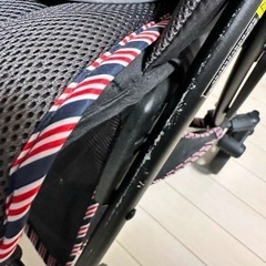 ランフィー ピジョン ベビーカーの画像