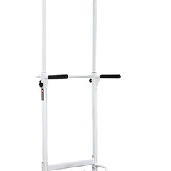 懸垂マシン・ぶら下がり健康器の画像