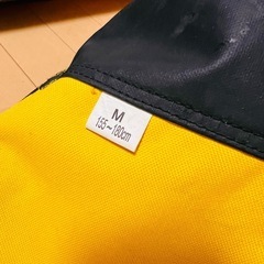 Rossignolロシニョール　スキー板ケースMサイズの画像