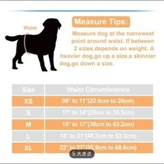 犬用　マナーベルト🐕の画像