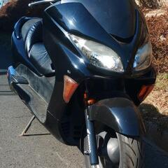 フォルツァZ　MF08後期　ETC付　走行28000km　(No.2335)の画像