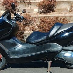 フォルツァZ　MF08後期　ETC付　走行28000km　(No.2335)の画像