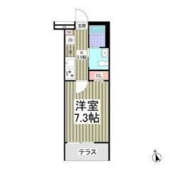 🌈😳フリーレント1ヶ月付き😳🌈南向きで陽当り良好🌞ネット無料🎶橋...