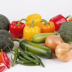 【増員募集】◎野菜工場でライン作業、一次加工のお仕事