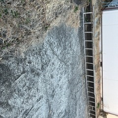 ※お取引終了　ハシゴ/2連/10m弱くらいの画像