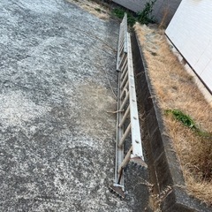 ※お取引終了　ハシゴ/2連/10m弱くらいの画像