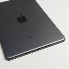 【Wi-Fiモデル】iPad mini 第5世代/256GB/A2133〈MUU32J/A〉の画像
