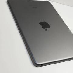 【Wi-Fiモデル】iPad mini 第5世代/256GB/A2133〈MUU32J/A〉の画像