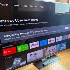 SONY BRAVIA 65インチ