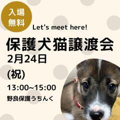 保護犬猫譲渡会開催　24日(祝)
