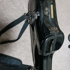 アルトサックス用　シャイニーケース（CC shiny case)