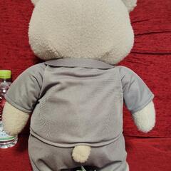 テッド　ぬいぐるみの画像