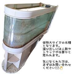 150cm!!!【特大】大型U字曲げガラス水槽の画像