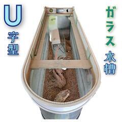 150cm!!!【特大】大型U字曲げガラス水槽の画像
