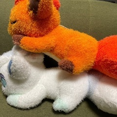 ぬいぐるみ　ポケモンの画像