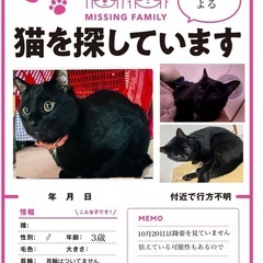迷子の黒猫を見ませんでしたか？