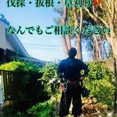 伐採、草刈、抜根、回収