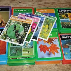 あかね書房　科学のアルバム83冊セット