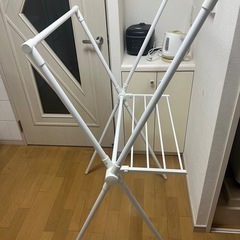 乾燥帯