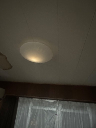 照明