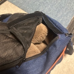ペットキャリー デニムスリングの画像