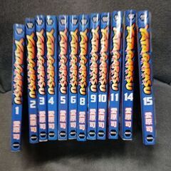(古本)YATAGARASU‐愛原司 12冊