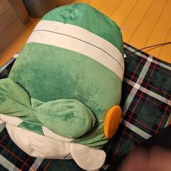 ぬいぐるみの画像
