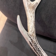 鹿の角の画像