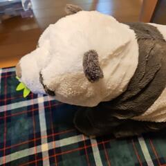 パンダ