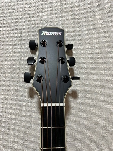 MORRIS アコギ