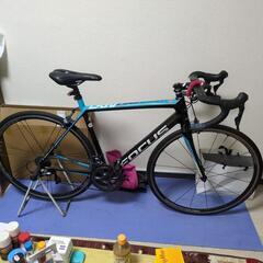 【配送可】Focus  cayo ultegra