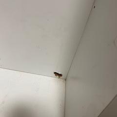 終了しましたの画像