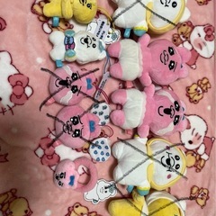 んぽちゃむ 、おぱんちゅうさぎ　ぬいぐるみ