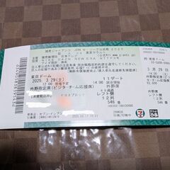 プロ野球公式戦チケット