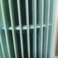 【条件あり】縦型扇風機の画像