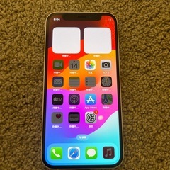 iPhone12 mini