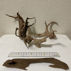 ADAブランチウッド3つとその他流木