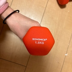 ダンベル 亜鈴の画像