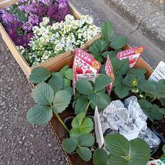 🌈🪲世界のカブトムシ・クワガタの標本展示のお知らせ＆社会貢献活動のご報告🌈🪲 - 藤沢市